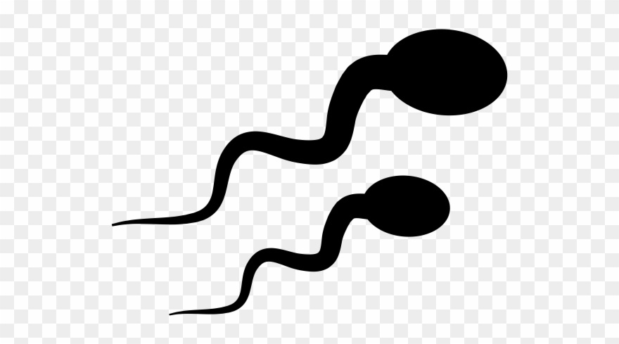 Sperm Icon Clipart (#2123147).