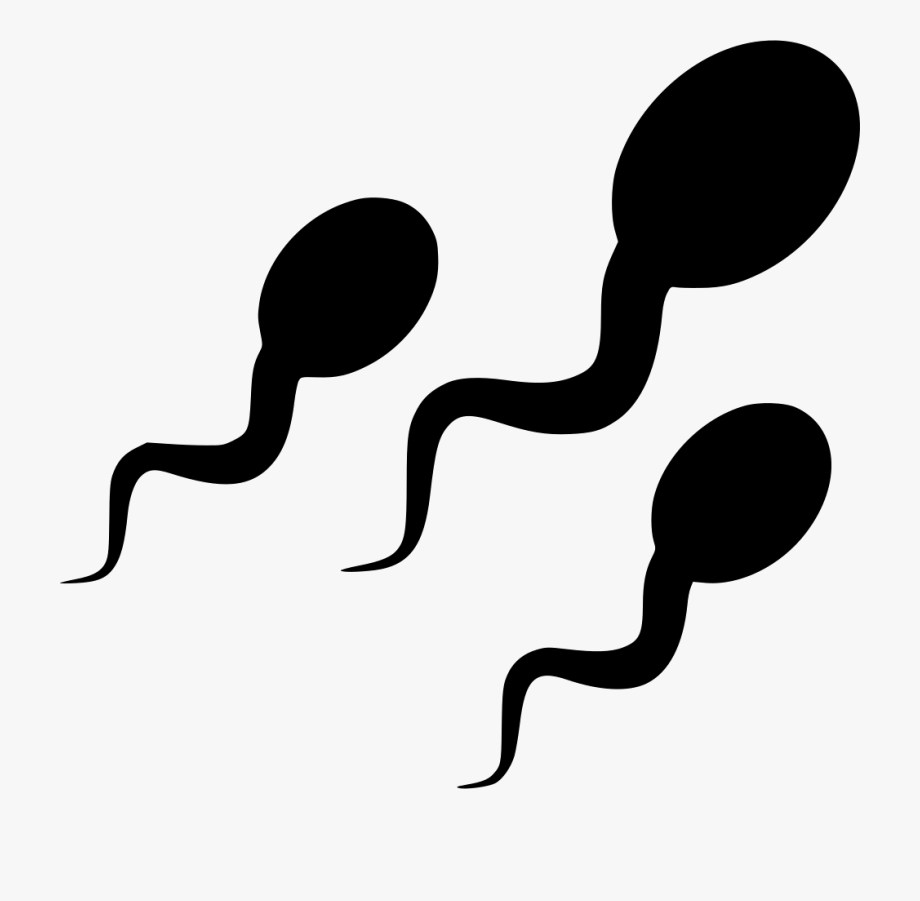 clipart sperm 10 free Cliparts | Download images on Clipground 2021