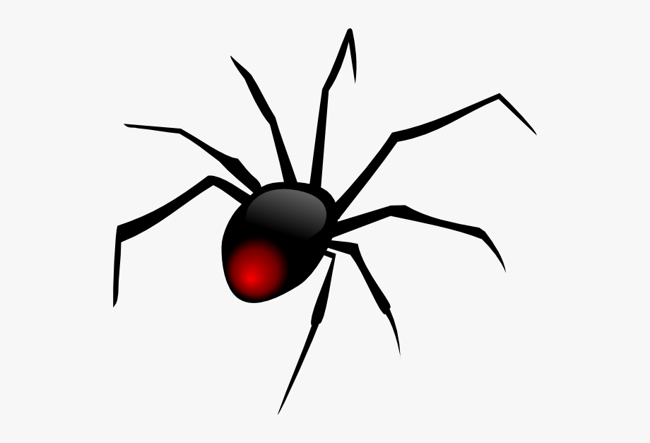 Spiders Web Clip Art Image.