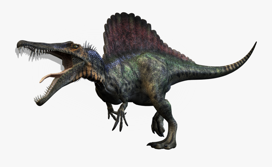 Clip Art Picture Of Spinosaurus Dinosaur.