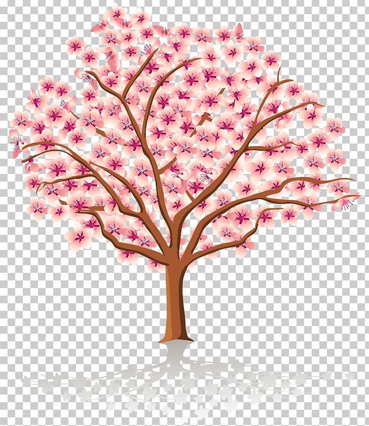 Spring Tree Blossom PNG, Clipart, Autumn, Blossom, Branch.