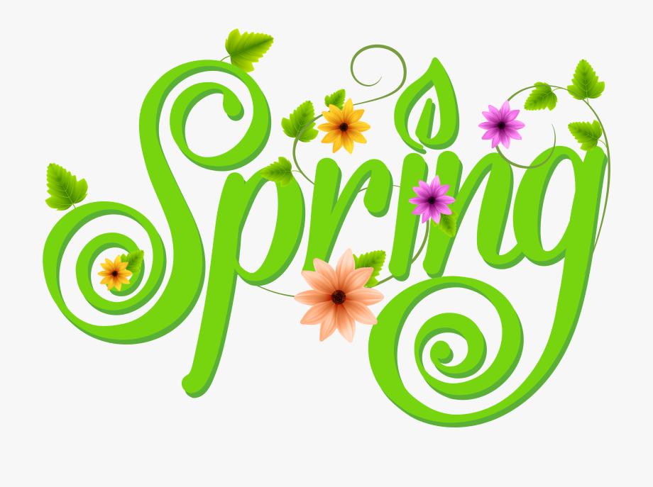Clipart Spring Png , Transparent Cartoon, Free Cliparts.