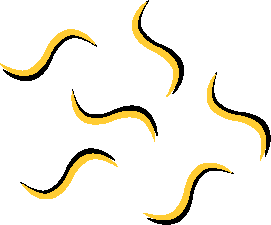 Free Squiggle Cliparts, Download Free Clip Art, Free Clip.