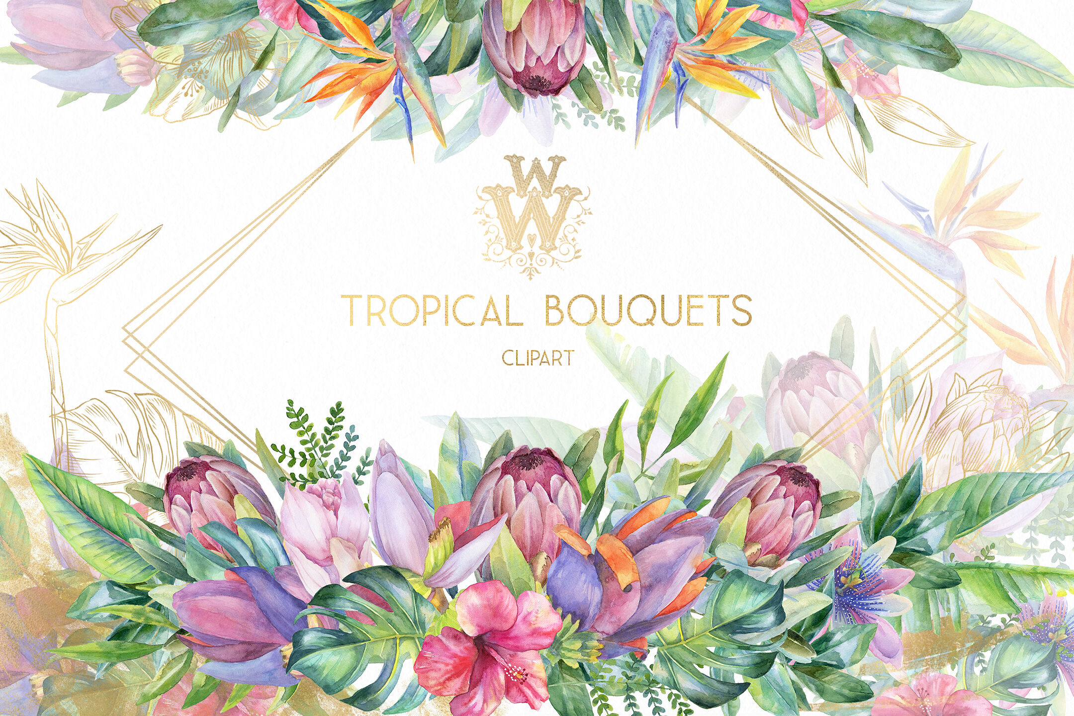 Watercolor tropical clip art, floral border clipart, summer.