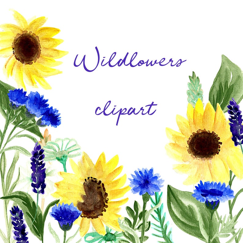 Wildflower Clipart, Sunflower Clip Art, Watercolor Wildflowers, Wildflower  Png, Watercolor Png, Wildflower Bouquet, Sunflower Design.