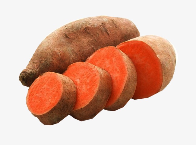 Sweet potatoes clipart 4 » Clipart Station.