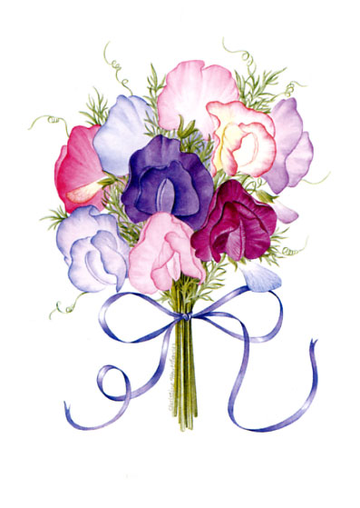 Sweet pea clipart 1 » Clipart Station.