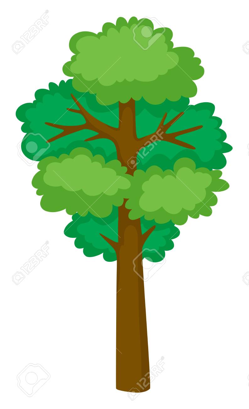 clipart tall tree 20 free Cliparts | Download images on Clipground 2024