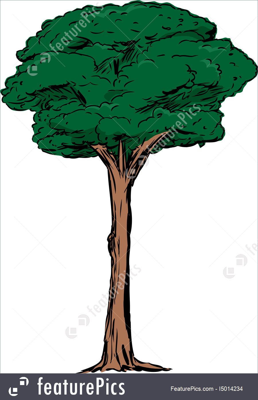 clipart tall tree 20 free Cliparts | Download images on Clipground 2021