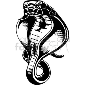 cobra tattoo design clipart. Royalty.