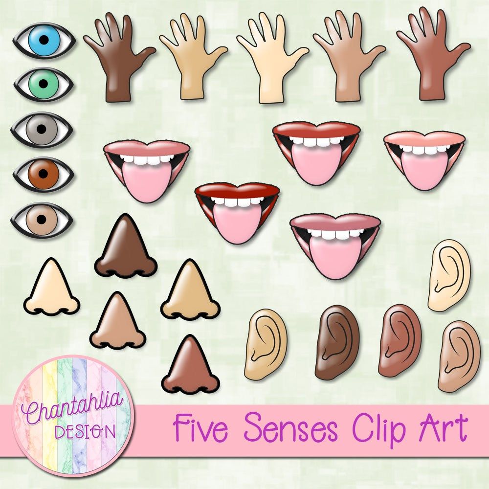 Free five senses clip art. Teachers can use them for their.