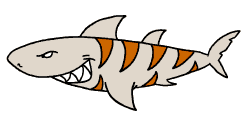 Tiger Shark Clip Art.