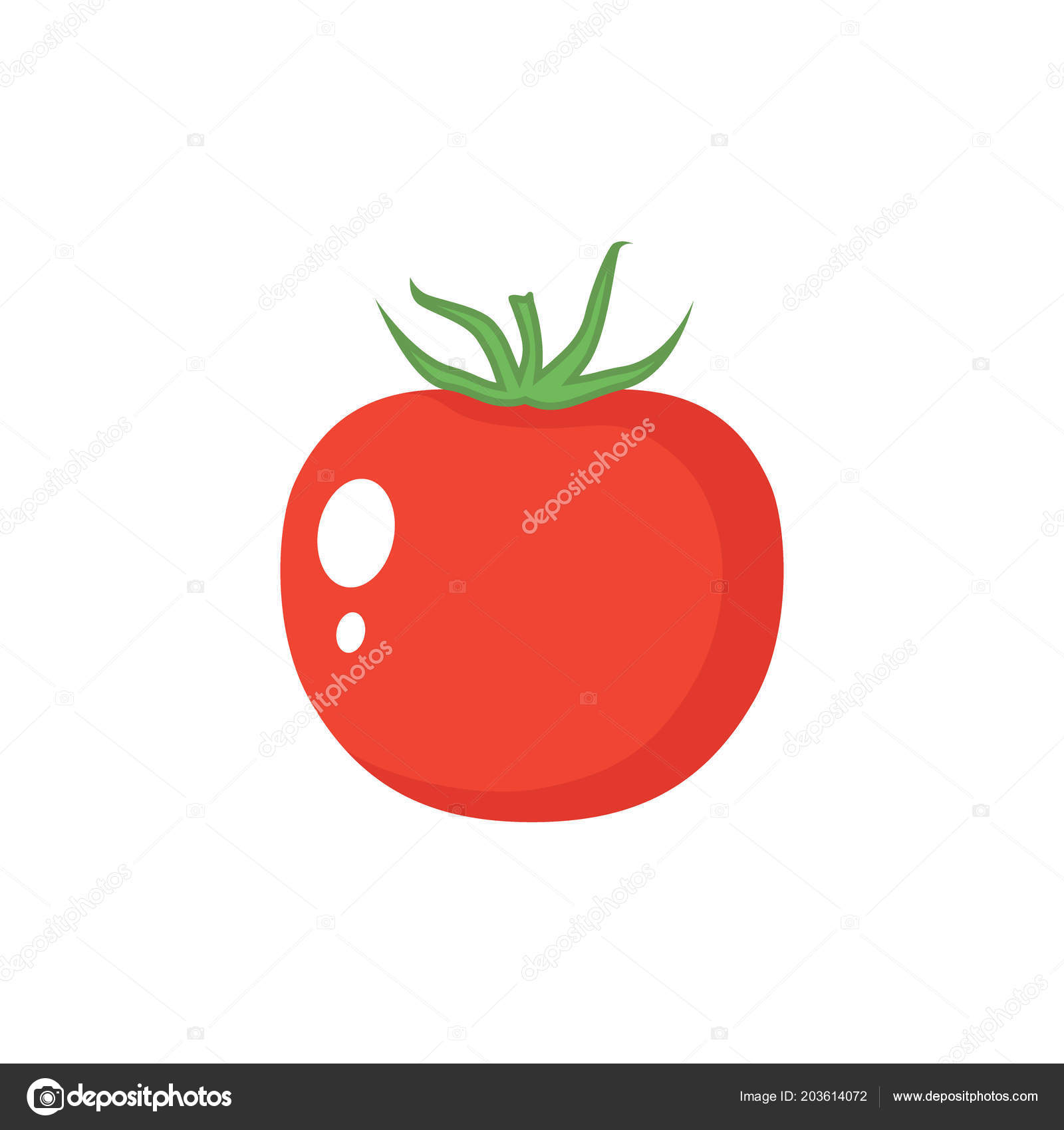Tomato Leaf Vector Icon Tomato Icon Clipart Tomato Cartoon — Stock.