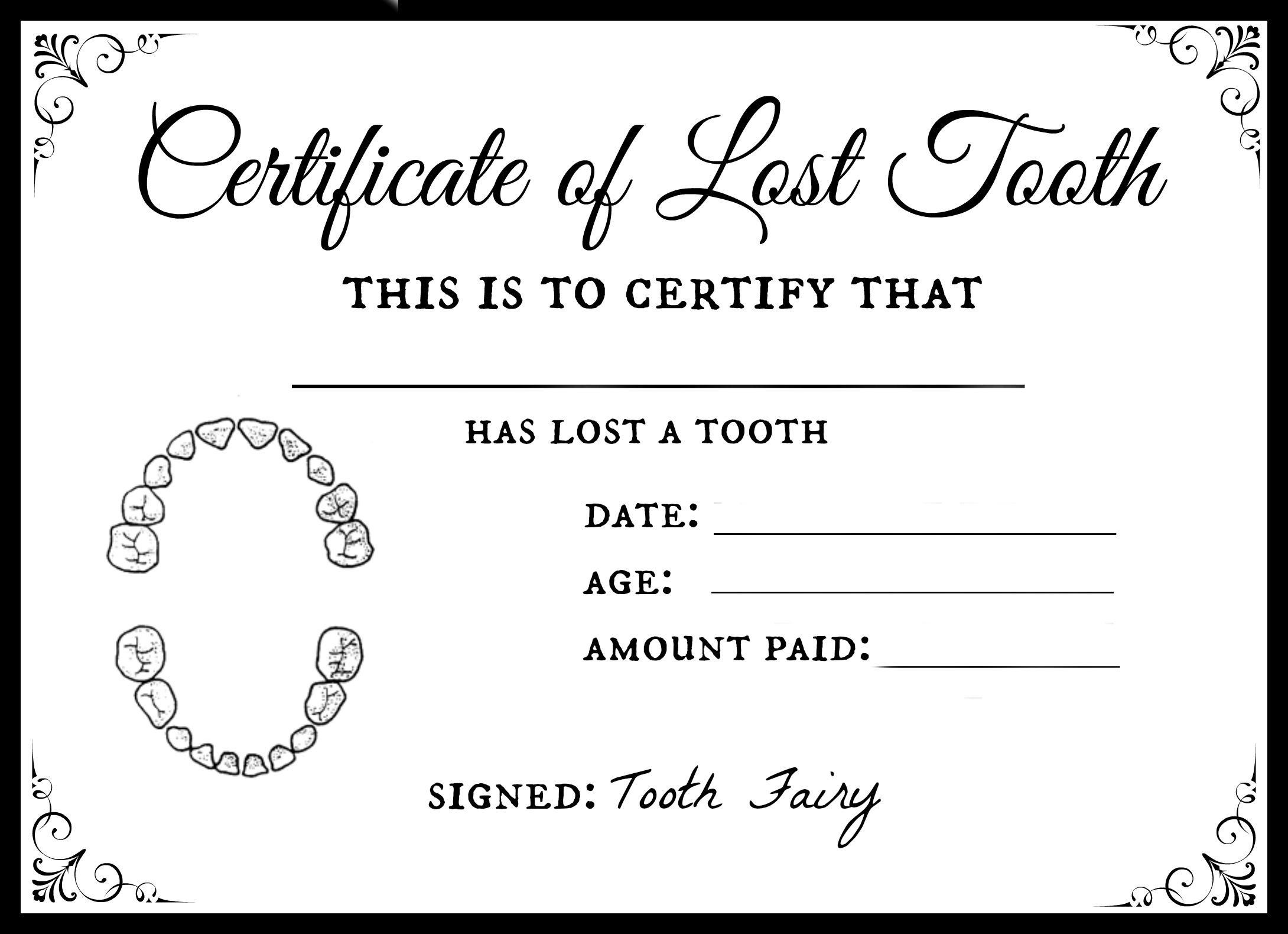 toothfairy receipt