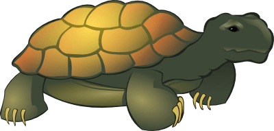 Free Tortoise Cliparts, Download Free Clip Art, Free Clip.