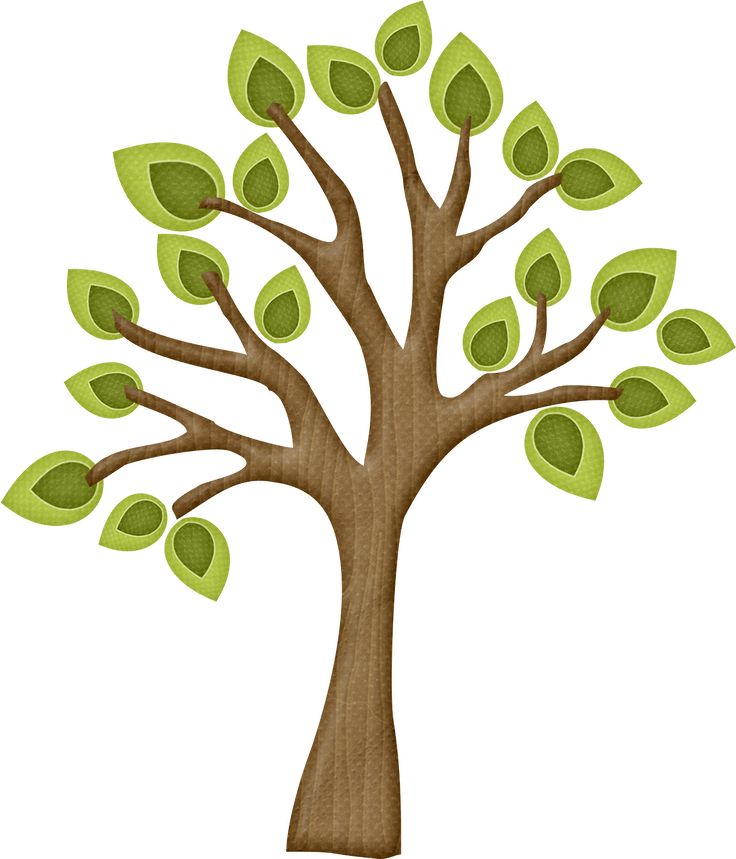Tree Branches Clipart.