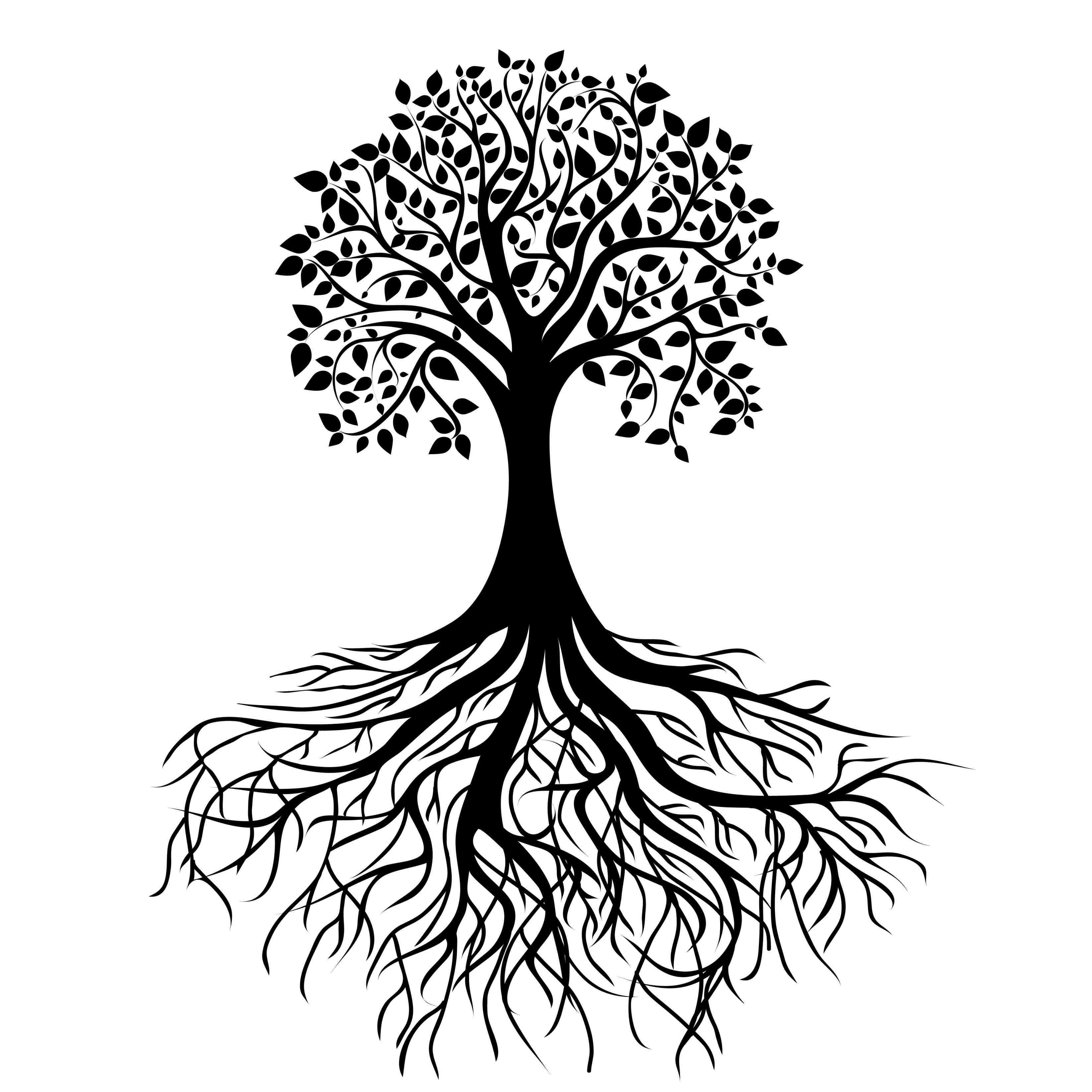 Family Tree With Roots Clipart.