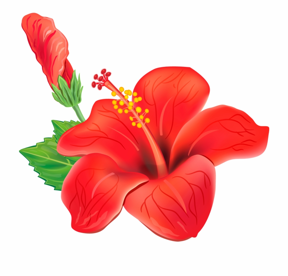 Red Exotic Flower Png Clipart Picture.