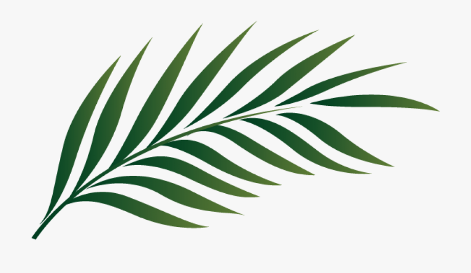 clipart tropical leaves 10 free Cliparts | Download images on