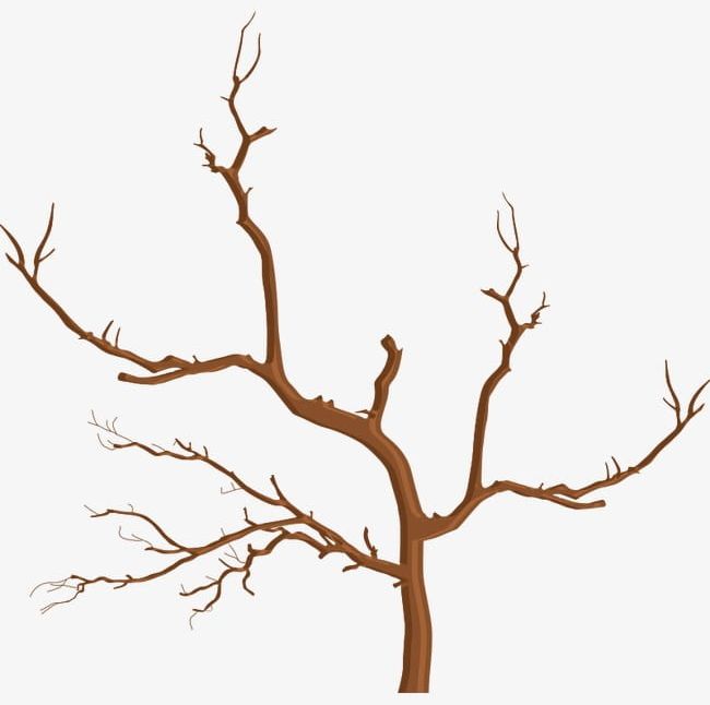 Branches PNG, Clipart, Branches, Branches, Dry, Dry Clipart.
