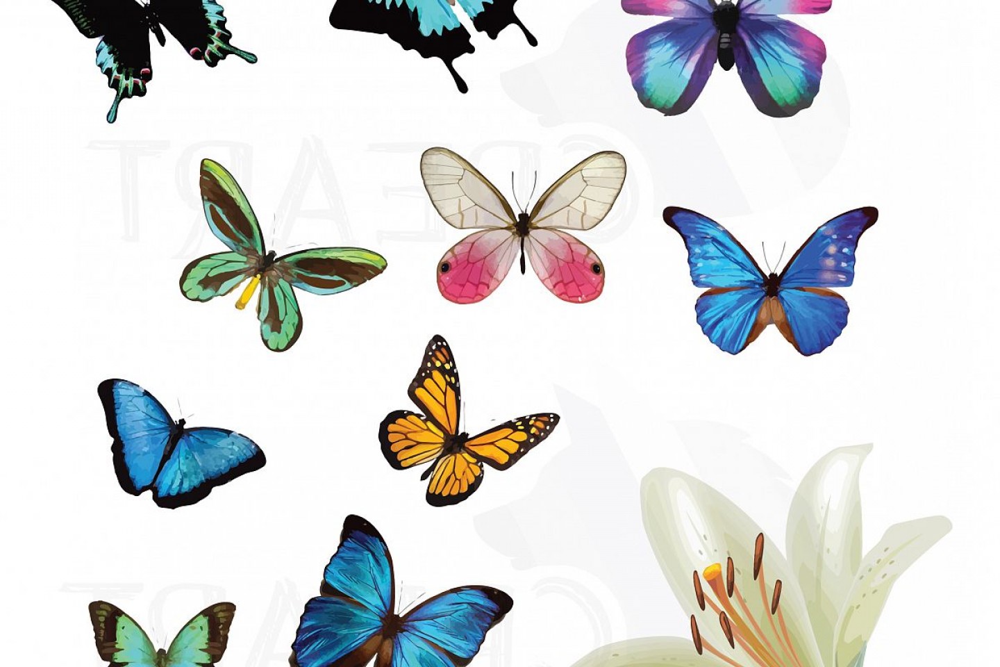 Watercolor Butterflies Clipart Pack Vectors For Commercial.