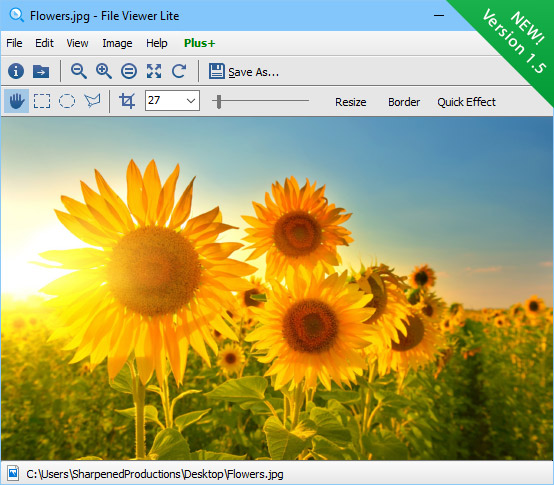 File Viewer Lite for Windows.