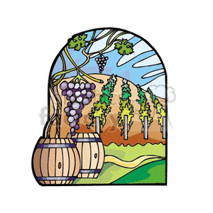Wine barrel in a vineyard loaded with grapes on the vine clipart.  Royalty.