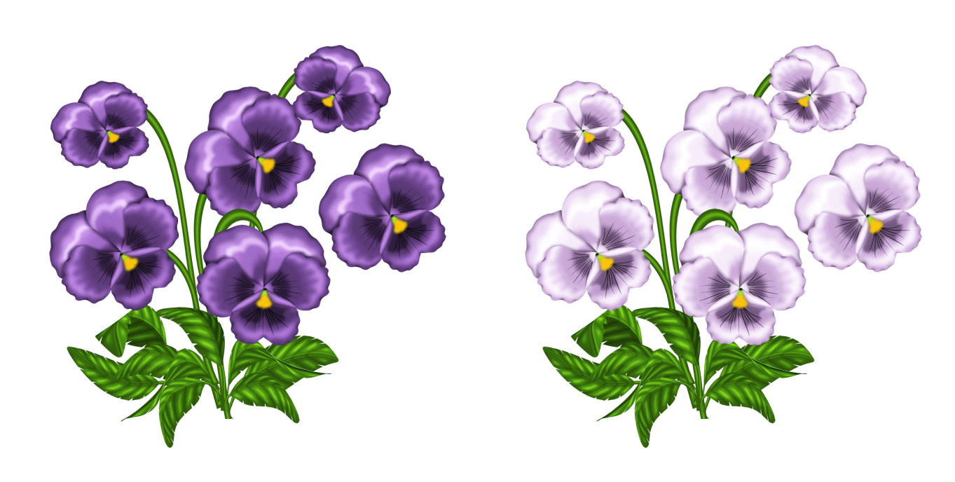 Purple and White Violets PNG Clipart.