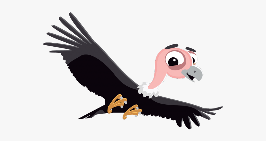 Vulture Clipart Vulture Bird.