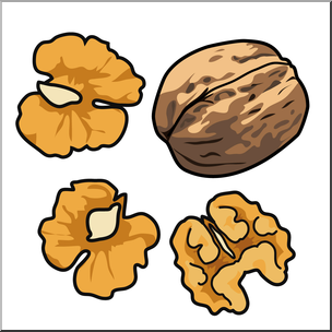 clipart walnut 20 free Cliparts | Download images on Clipground 2021