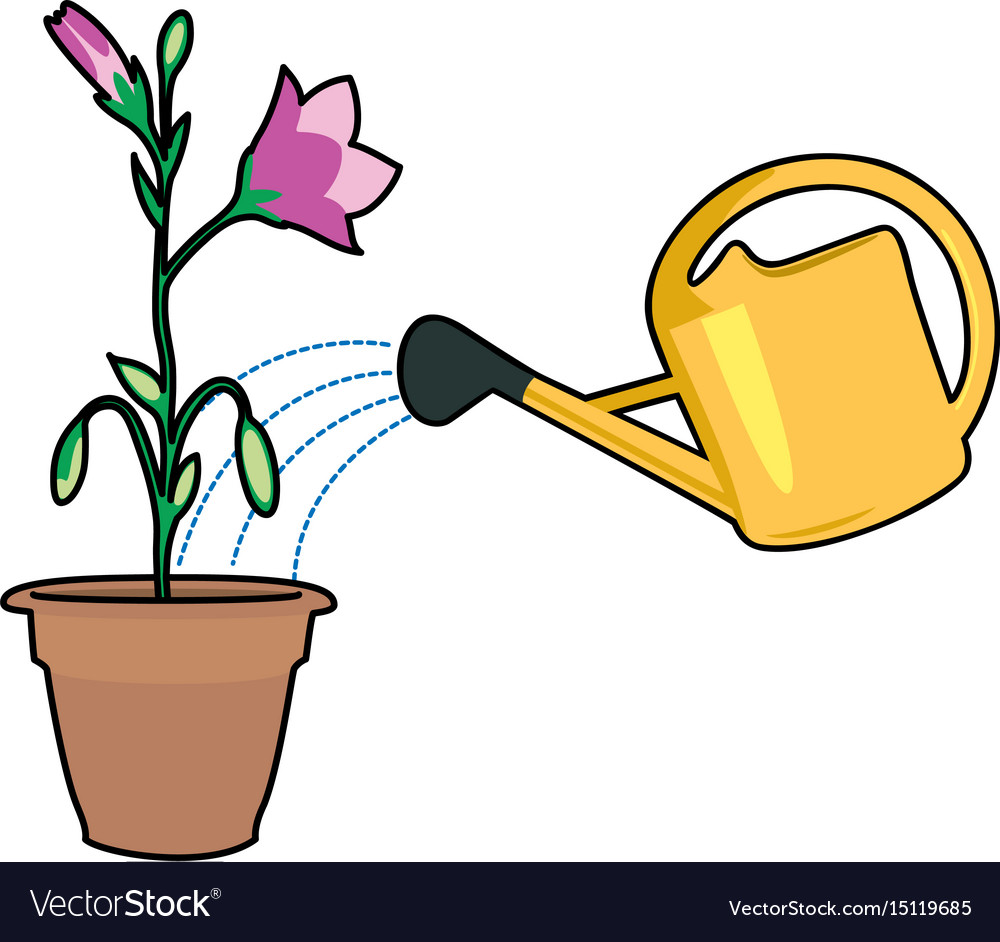 Plants and watering can.