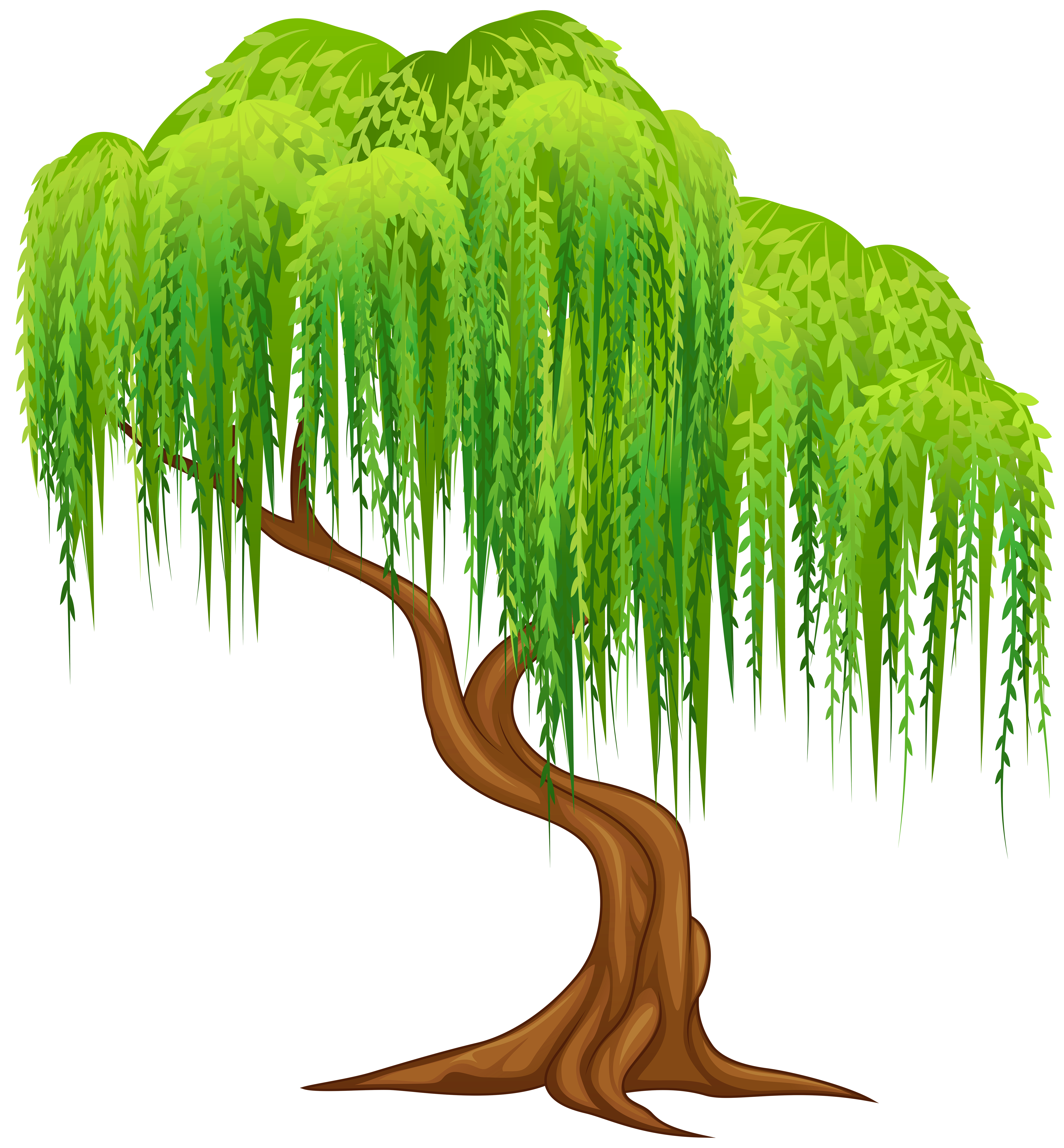 Weeping willow Tree Wall decal Clip art.
