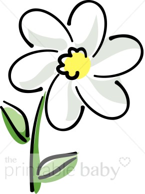 White Flower Clipart.