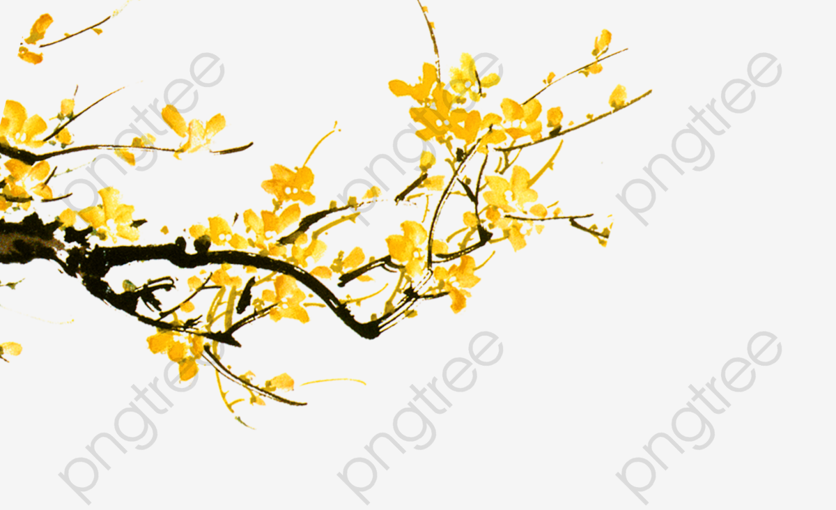 Yellow Flowers Branch, Branch Clipart, Yellow Flower, Flowers PNG.