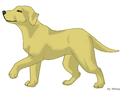 Yellow Lab Dog Clipart.