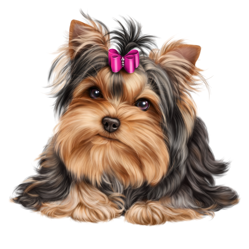 Clipart puppy yorkie, Picture #637471 clipart puppy yorkie.