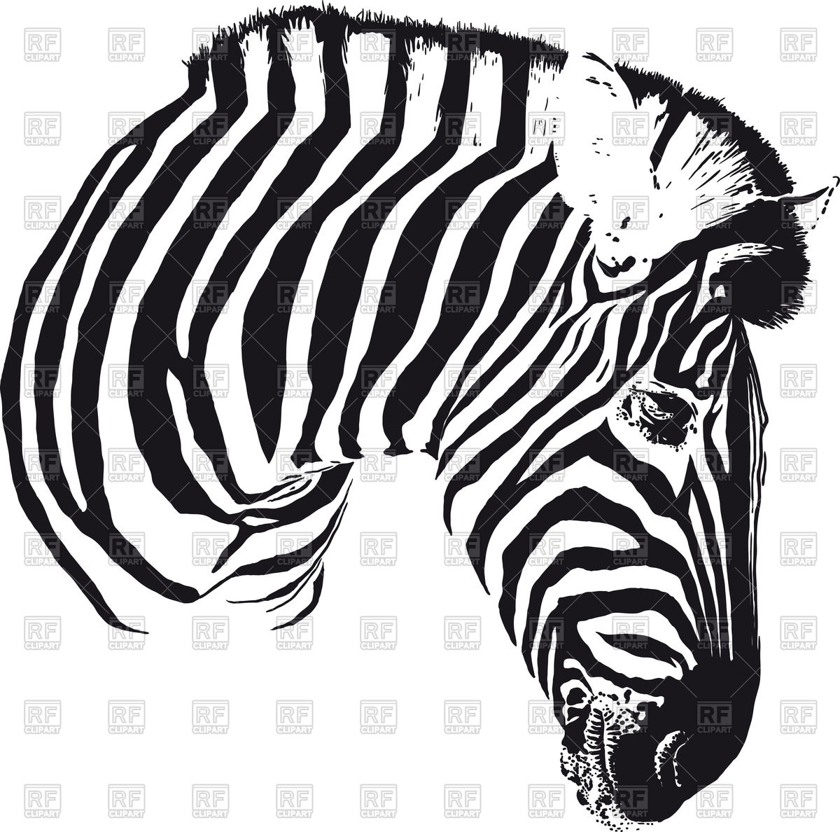 Painted black stripes zebra head turned in profile Stock Vector Image.