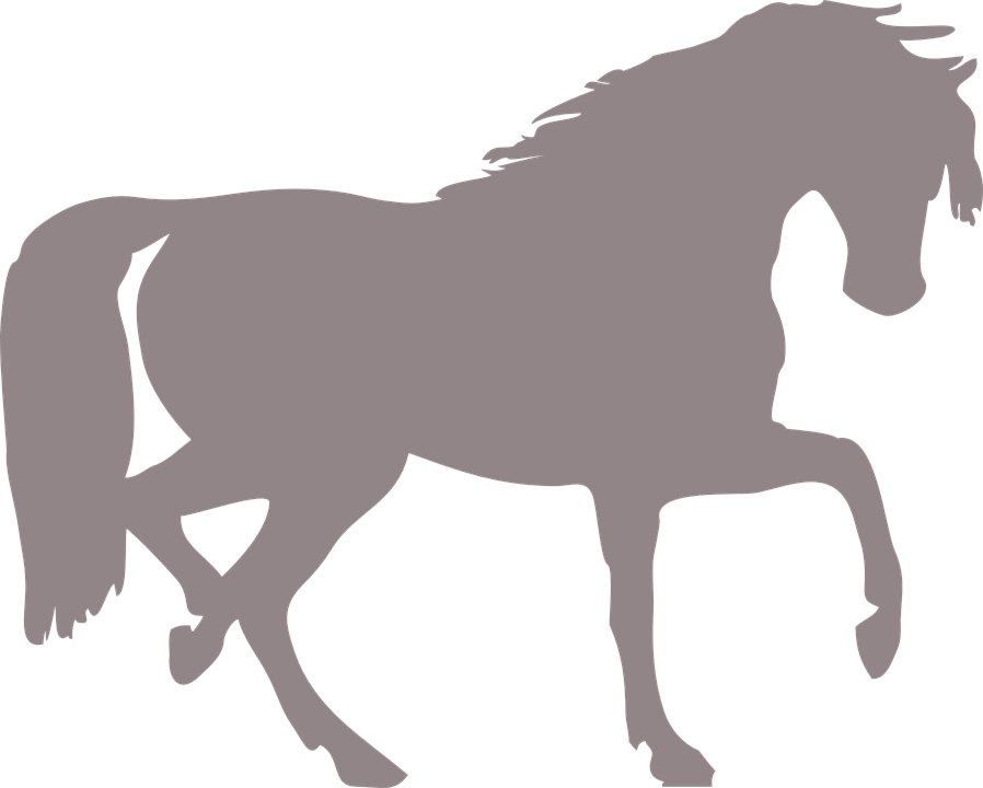Silhueta Cavalo Png Horse Silhouette Clip Art.