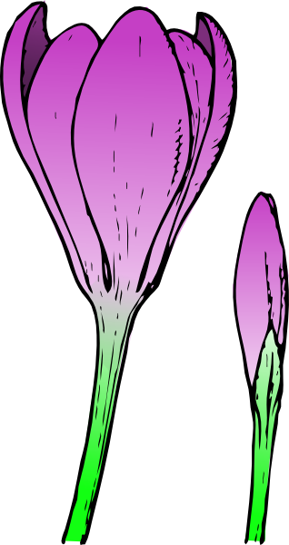 Crocus Flower Clip Art at Clker.com.