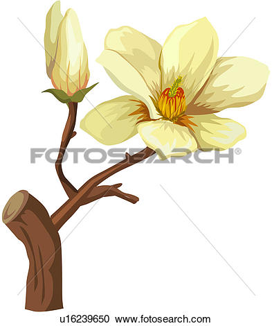 Clipart of fragrant, plant life, close.