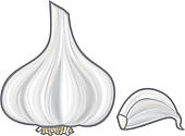 Clove of garlic clipart 20 free Cliparts | Download images on ...