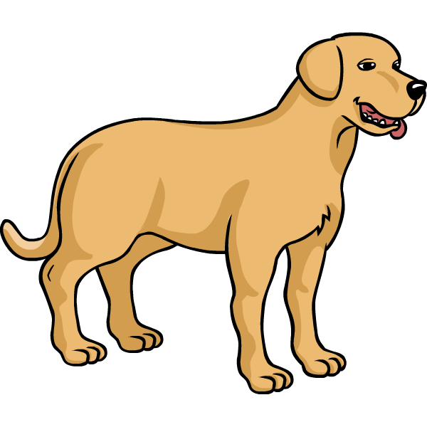 Dog breed Puppy Labrador Retriever Como Dibujar: UNA GU A.