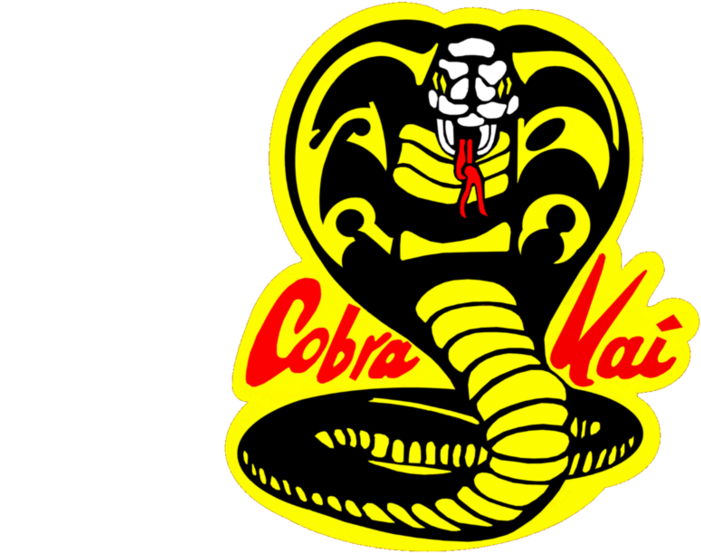 cobra kai png 20 free Cliparts | Download images on Clipground 2022