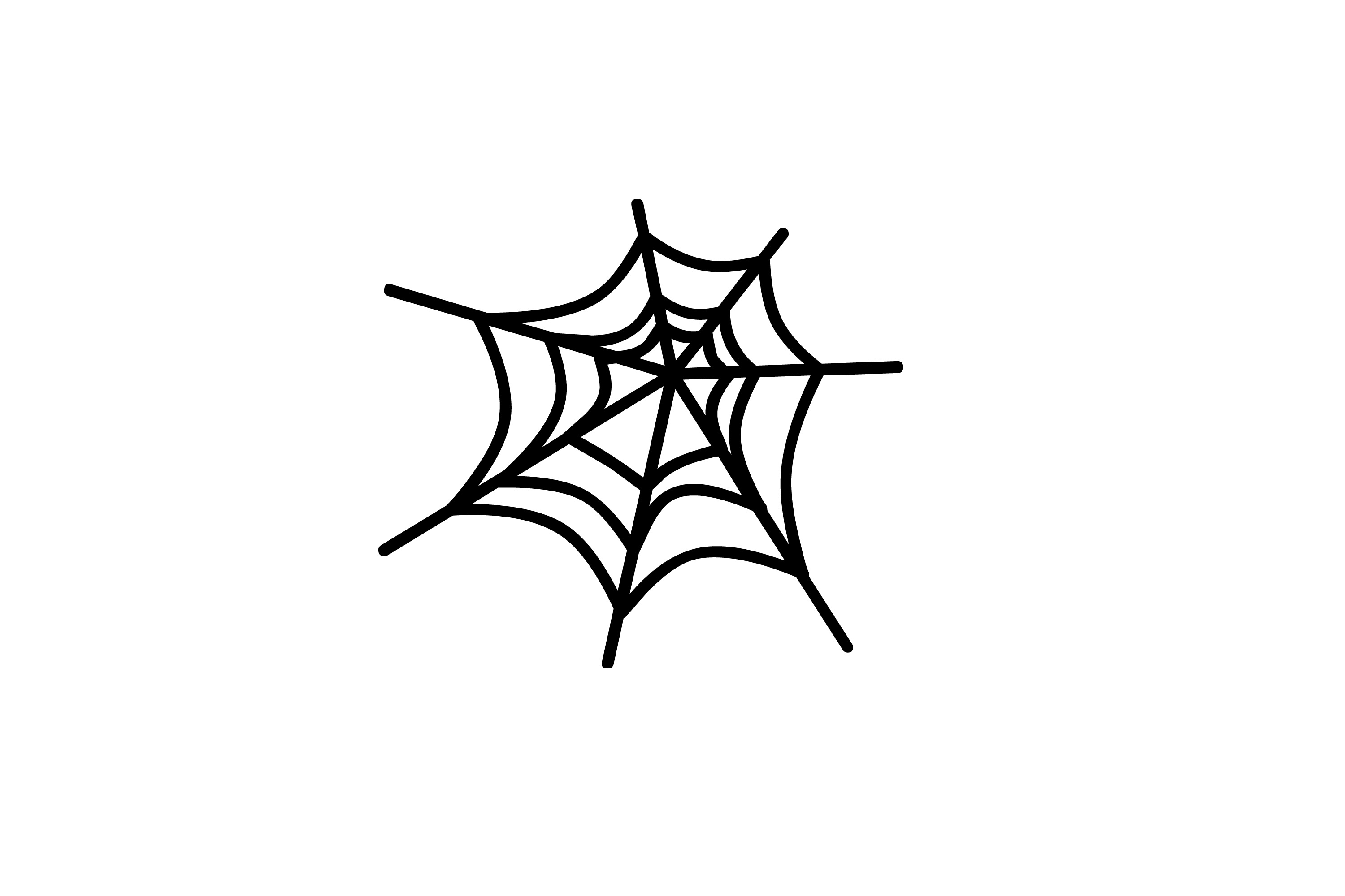 Cobweb Clipart.