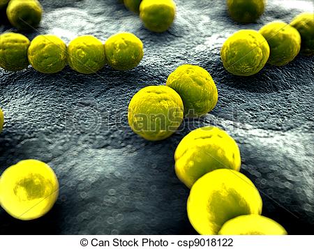 Coccus Illustrations and Clip Art. 168 Coccus royalty free.