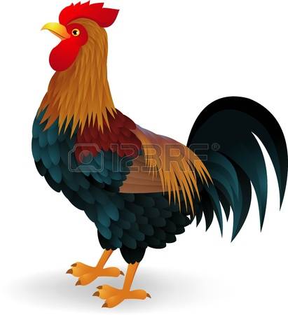 21,915 Cock Cliparts, Stock Vector And Royalty Free Cock Illustrations.