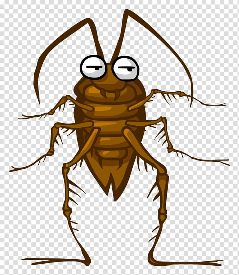 Cucaracha, cockroach cartoon transparent background PNG clipart.