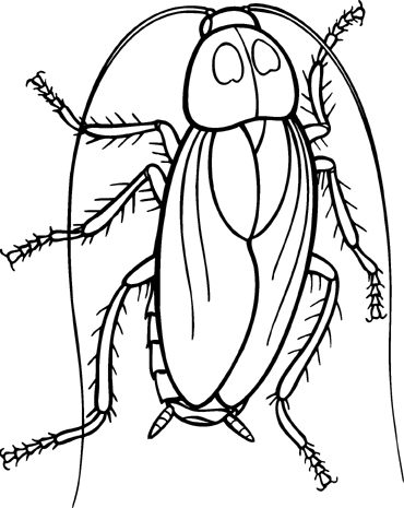 Cockroach clip art free clipart images 6.