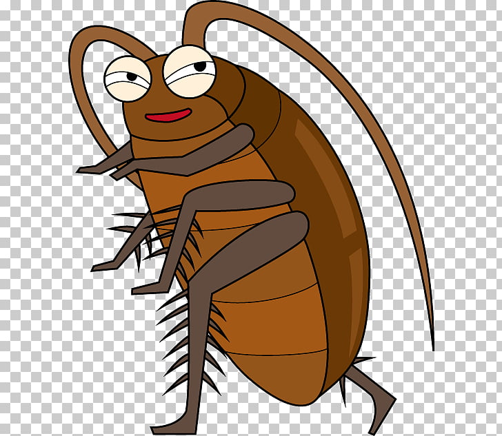 Blattodea Cockroach Roach Motel Pest Control Insecticide.