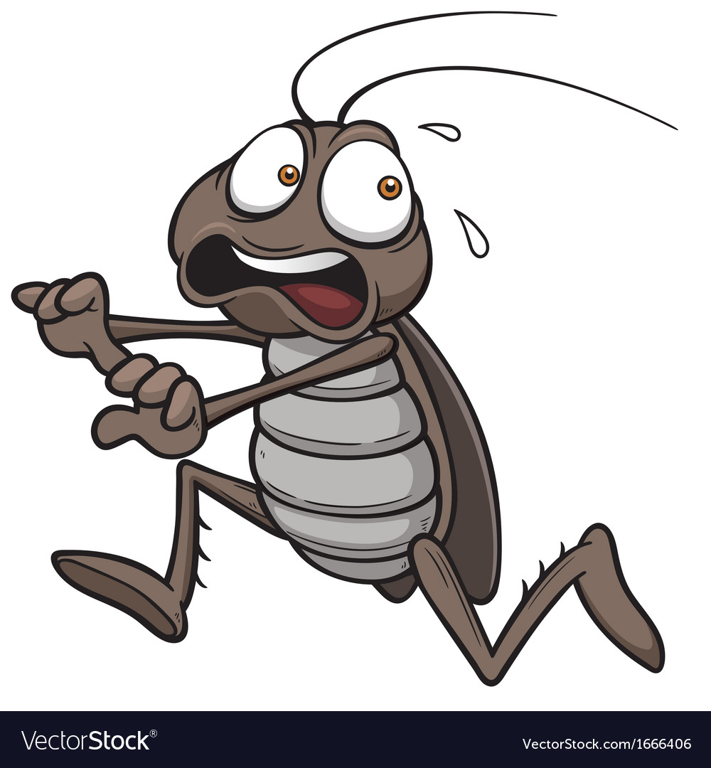 Cockroach.